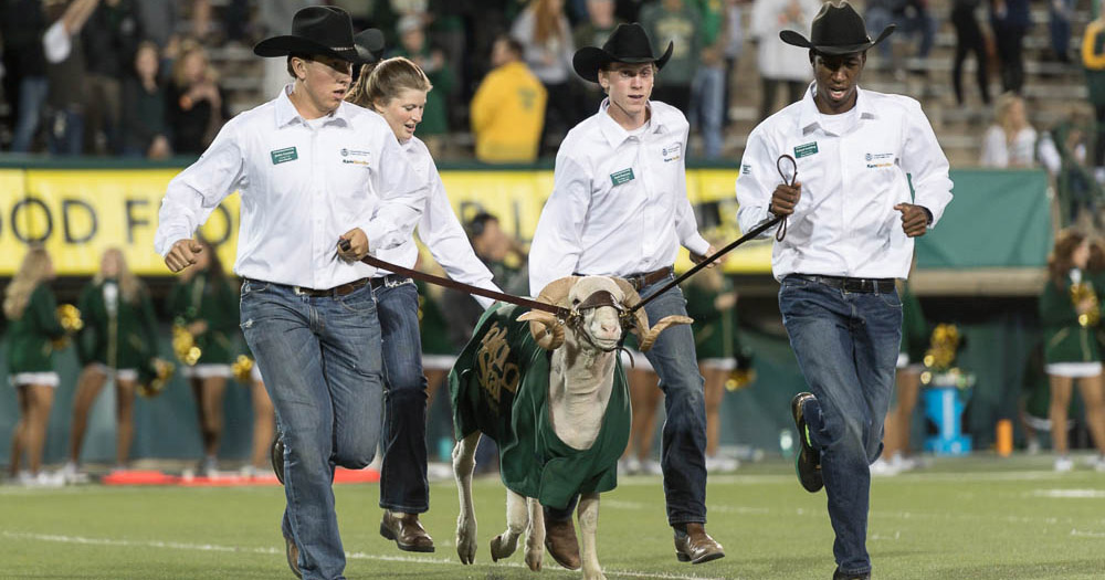 Blog Header: Ram Handlers