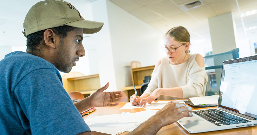 Two students study together