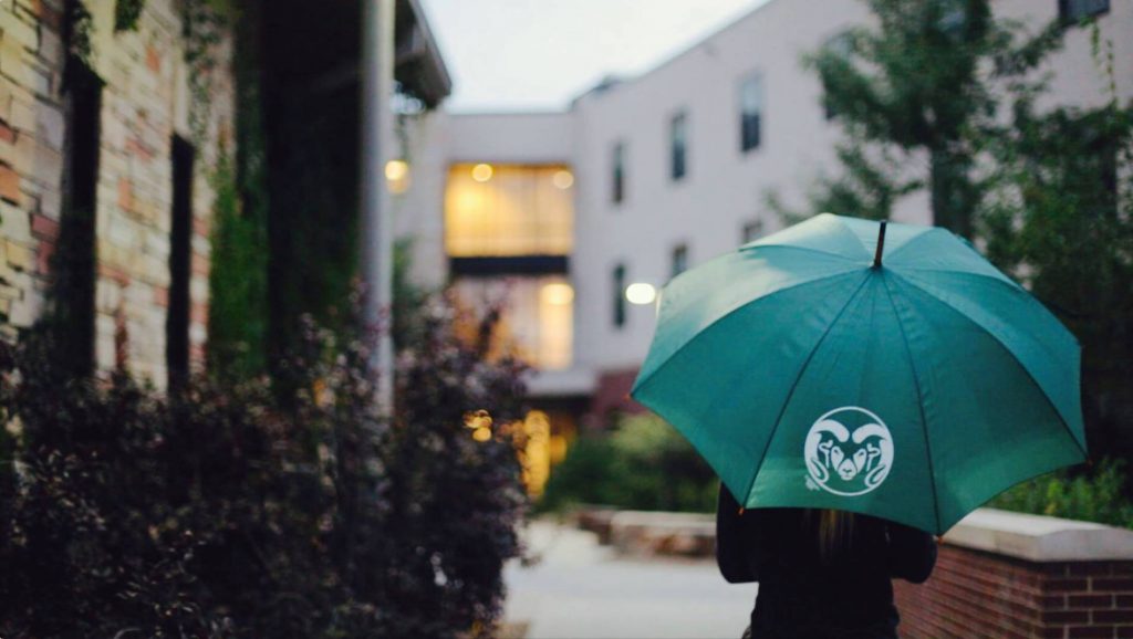 Blog Header: A Week in the Life of an Honors Student