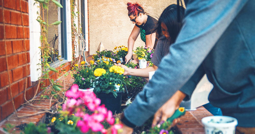students plant ornamental plants in an outdoor flowerbed
