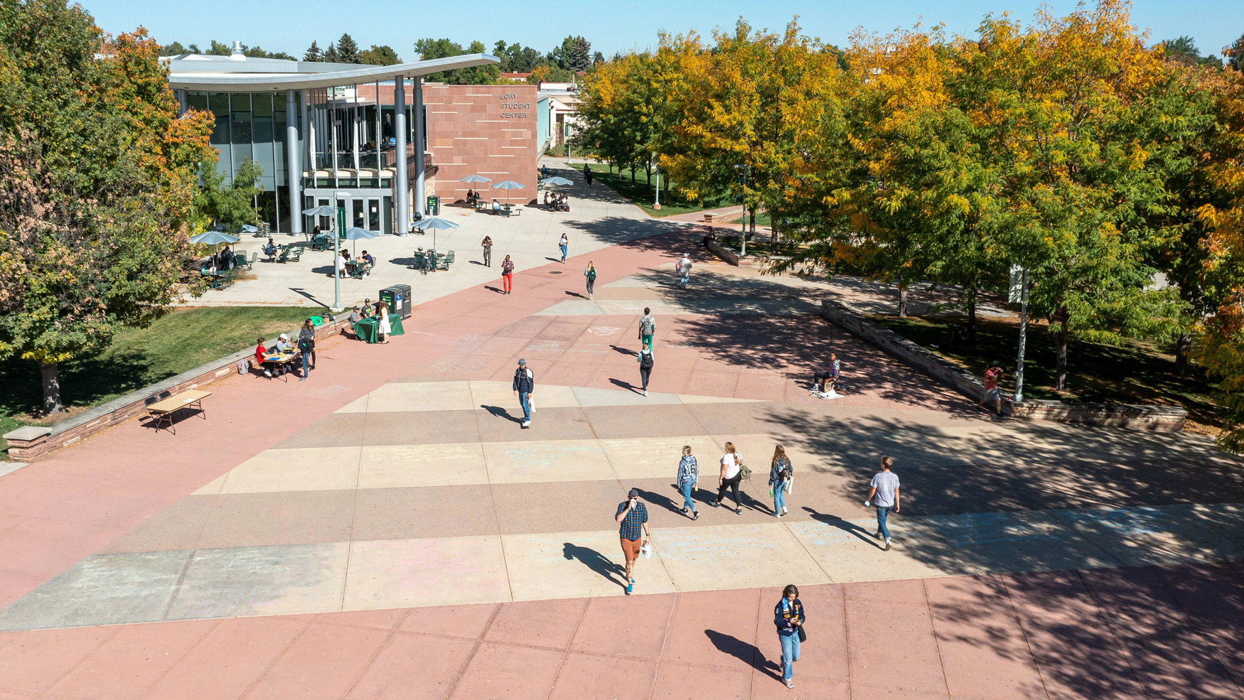 Students walk across wide walkway lined with trees