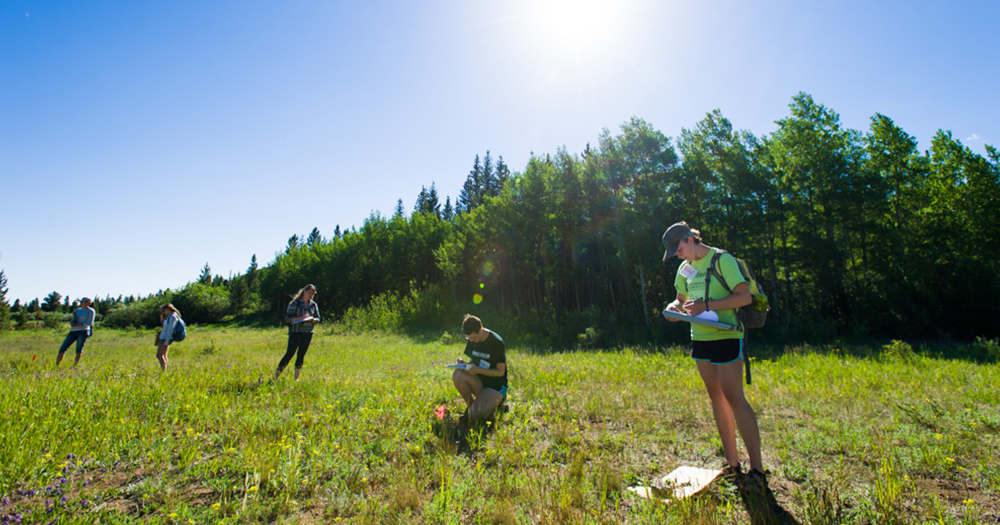students work in a mountain field doing research