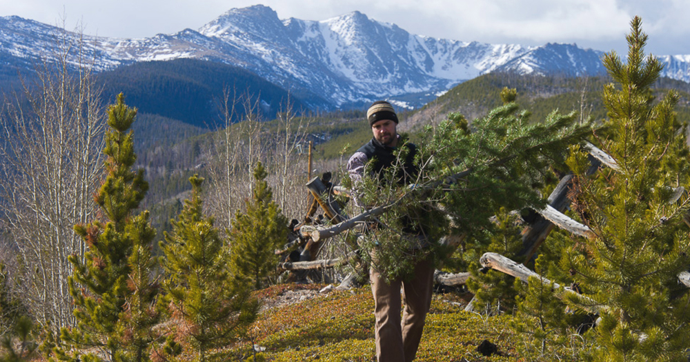 A student carries a small tree over a mountainous area.