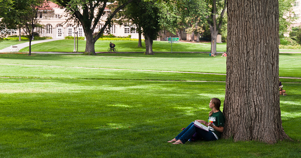 a student sits under a large oak and looks up thoughtfully