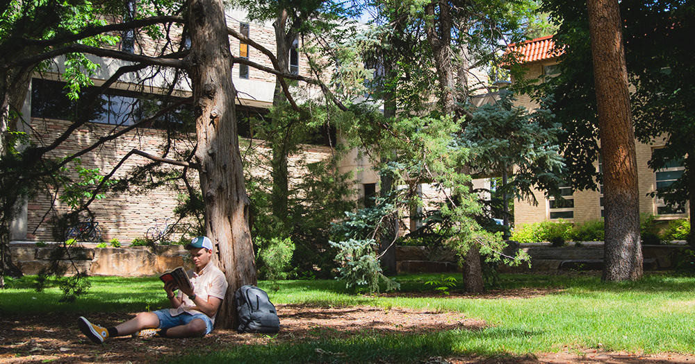 A student leans against a tree, reading, in Sherwood Forest.
