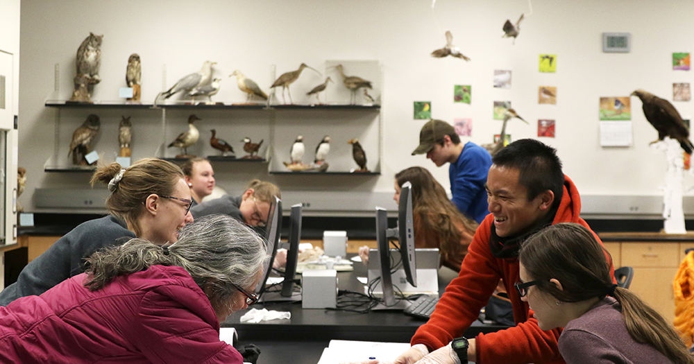 Colorado State biology students work with a shark specimen in the CSU mammology lab. Behind them, various species of birds are displayed on shelves.