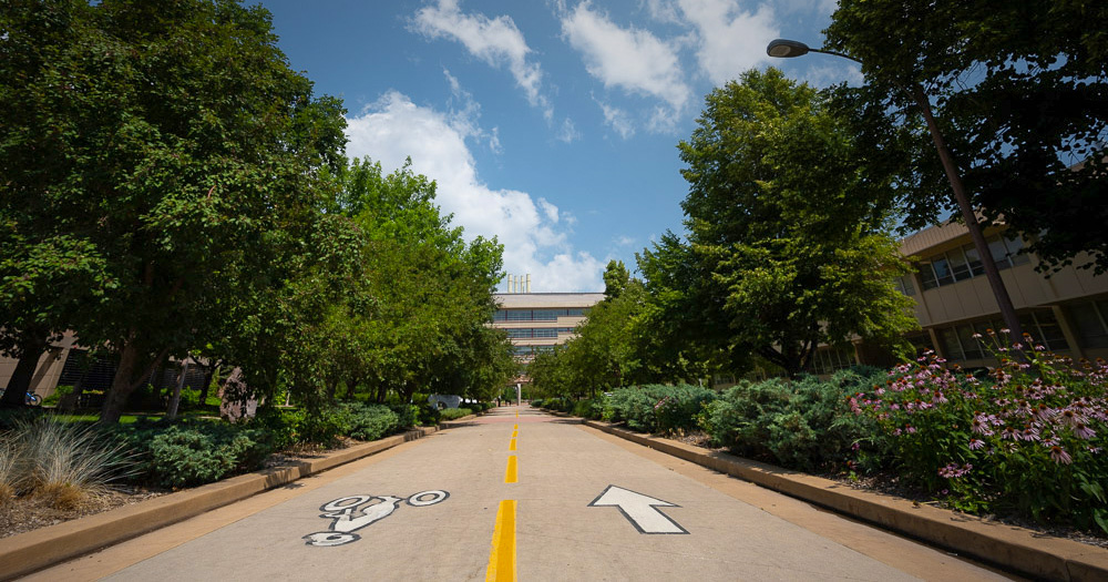Sidewalk marked with arrows leading to campus