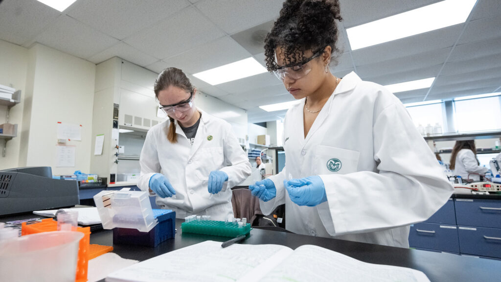 students work with vials and chemicals in a lab