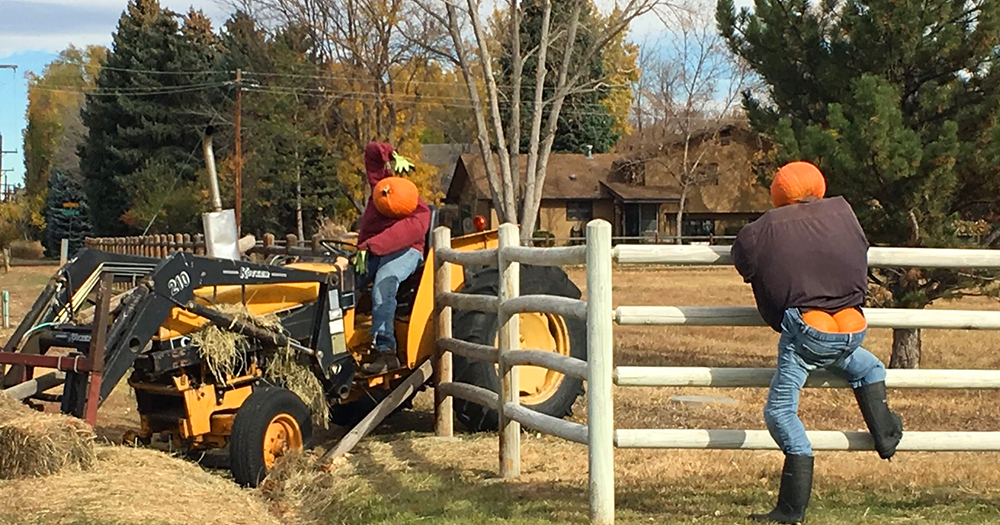 funny pumpkin sculpture display near a farm