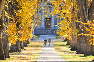 Two people mozy along the main CSU Oval path beneath the towering elms decked out in their fall colors.