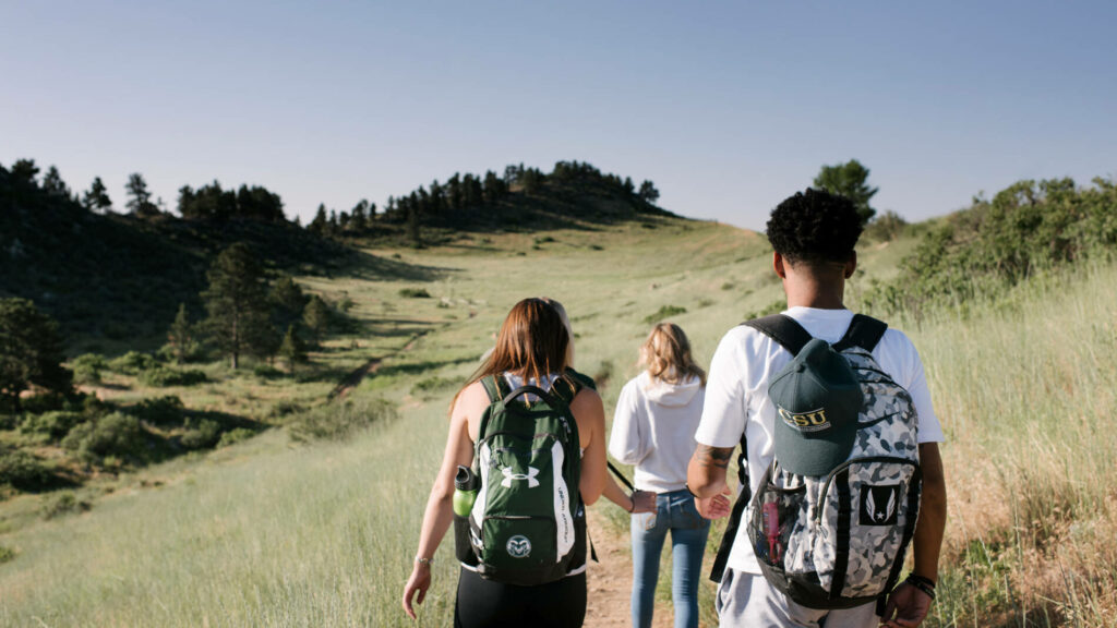 Group hiking up path