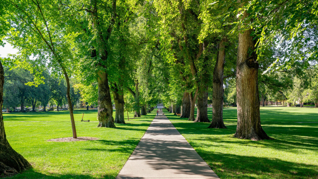 Sidewalk path on the Oval
