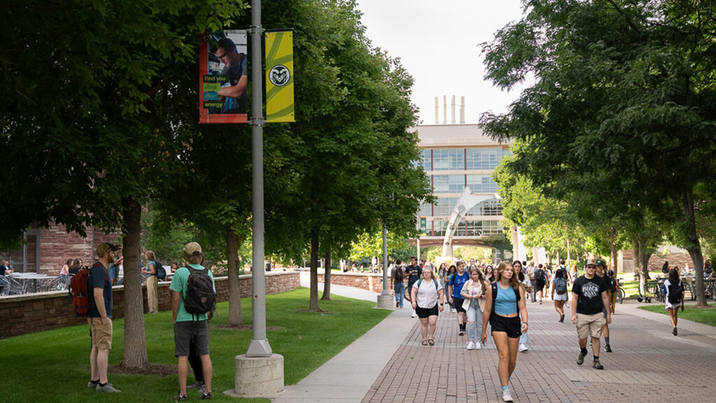students walking down CSU's academic spine