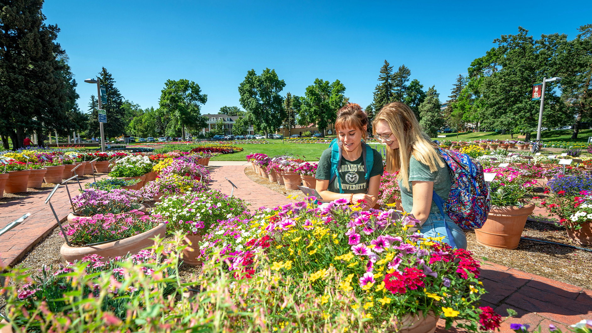 Two students look at flowers at the CSU Trial Gardens