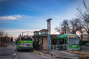 two fort collins busses cross paths at a pickup location