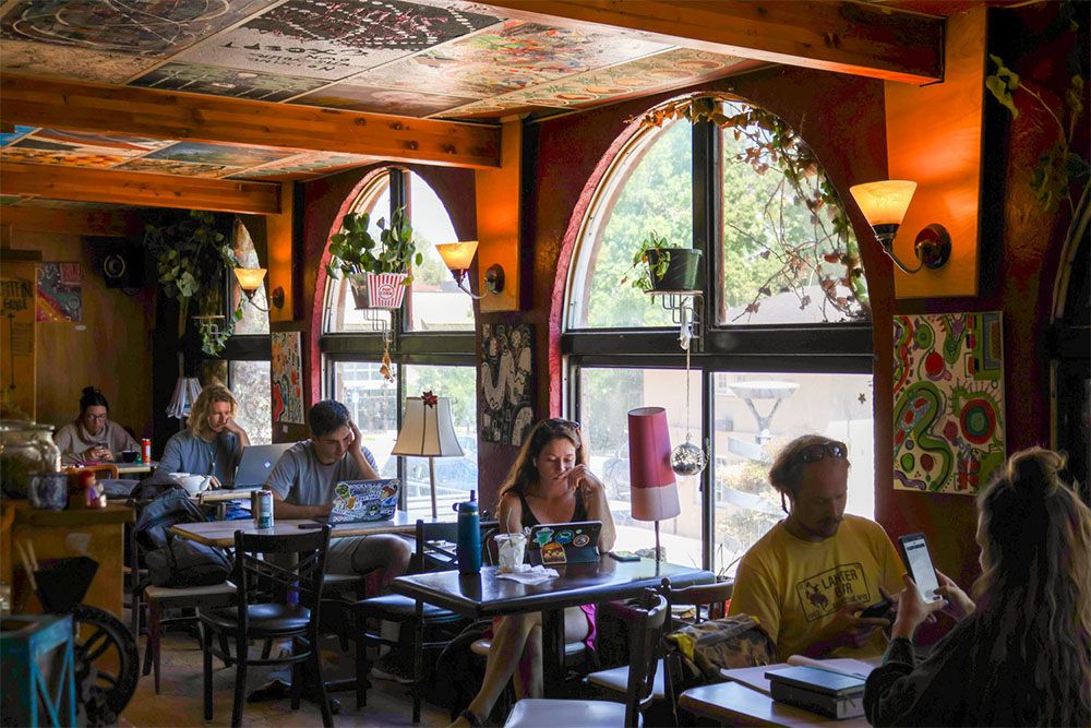 Inside of Alley Cat Cafe in Fort Collins