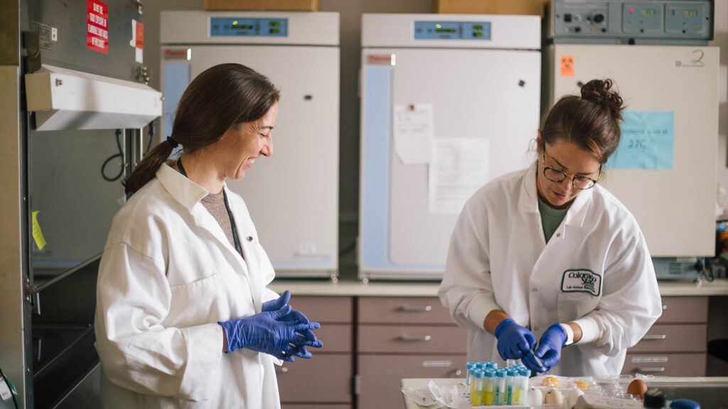 students work with specimens in a lab