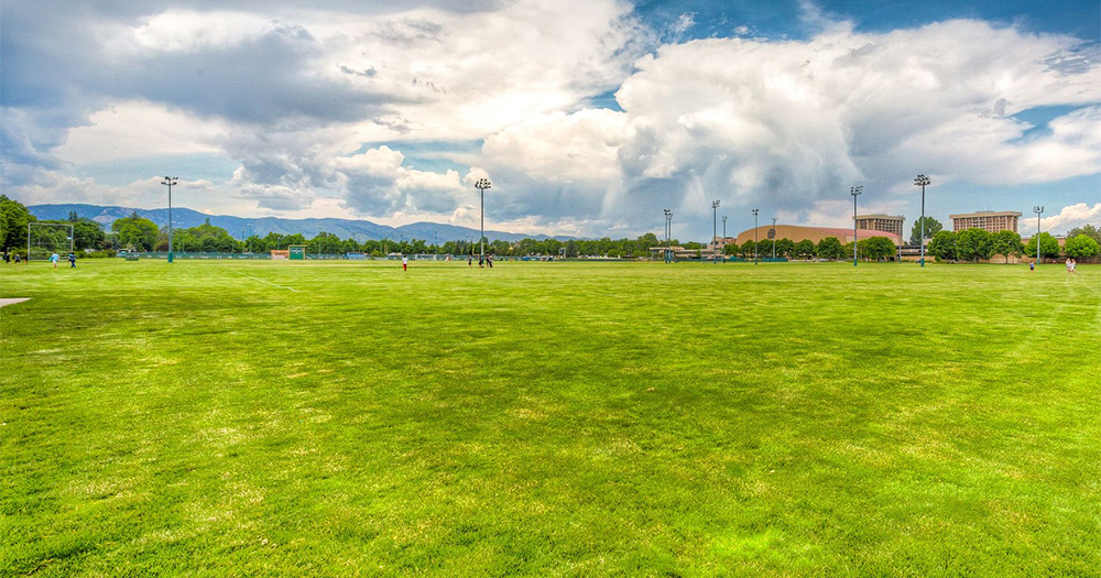 Expansive lawn with mountains in background