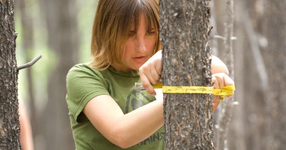 a student measures the trunk of a tree in the woods
