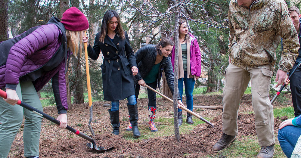 A group of students use shovels to cover an area around a newly planted tree with dirt.