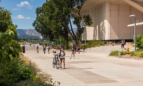 Student walking bike through campus