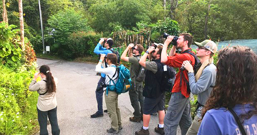 students watch birds in central america.