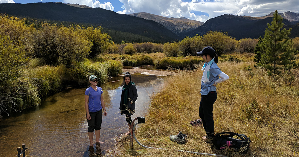 students and professor conduct research in a stream in the mountains
