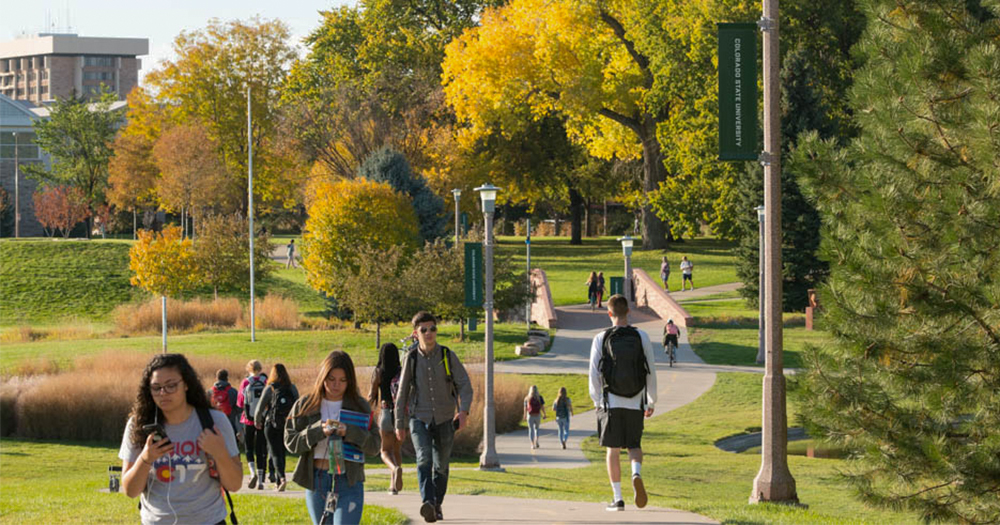 Students walking across winding path on campus