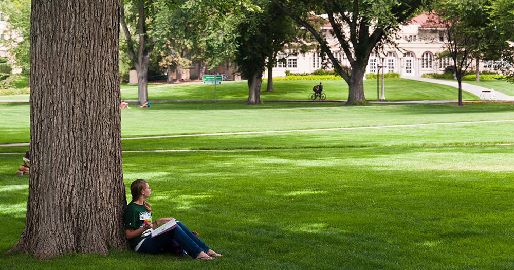 A student leans against a tree in the CSU Oval studying and thinking