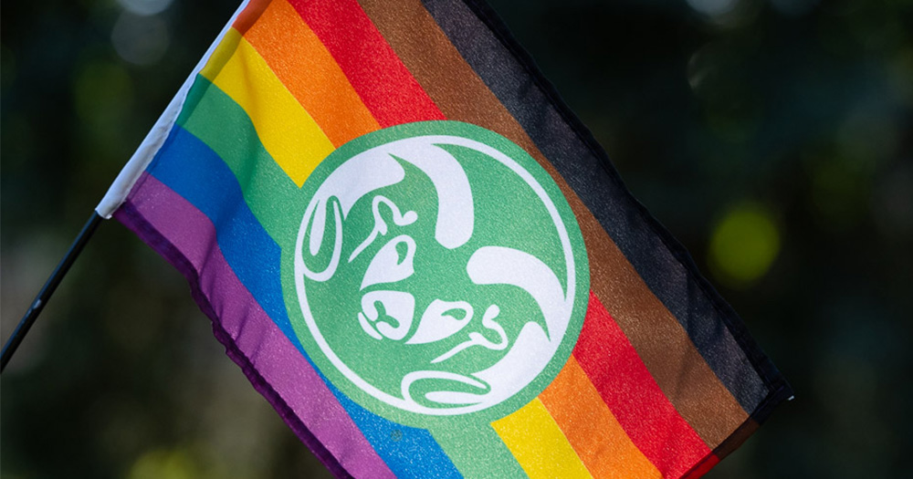 CSU flag with pride and cultural color identifiers