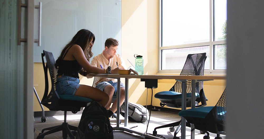 Two students do a group project in a library group study room.