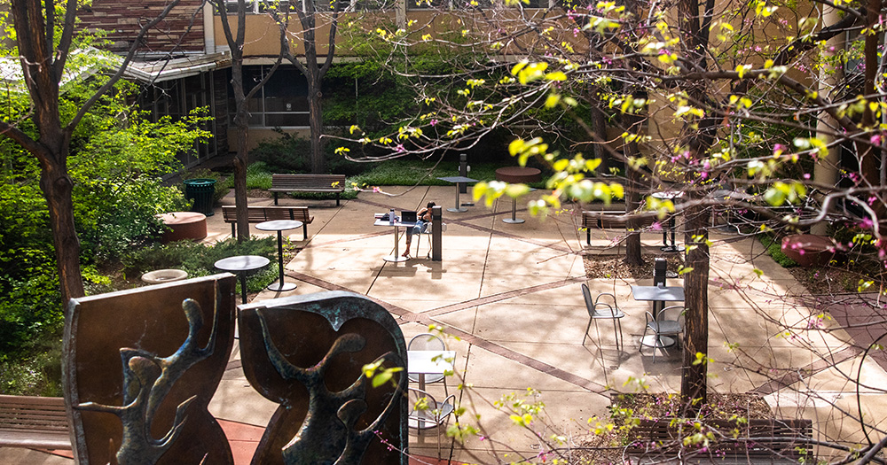 A shot of the library courtyard with spring flowers all around, sculptures, and study tables