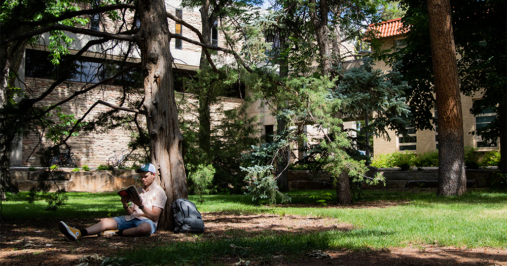 A student sits under a tree in the CSU forest.