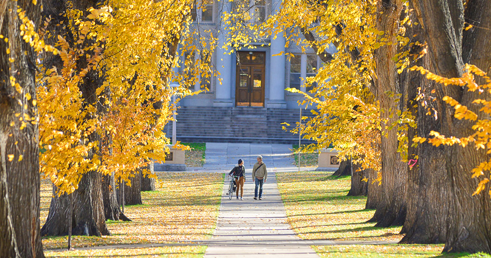 Two people mozy along the main CSU Oval path beneath the towering elms decked out in their fall colors.