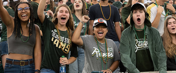 Football fans wearing CSU gear yell during game