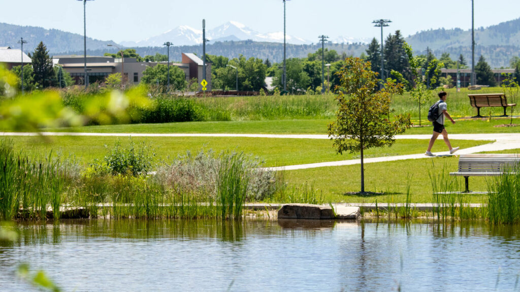 CSU view of the lagoon and distant mountains in summer